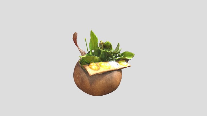 ensalada Foresta 3D Model