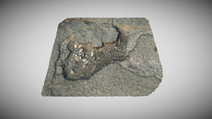 Damaged Concrete ( Photogrammetry ) 3D Model