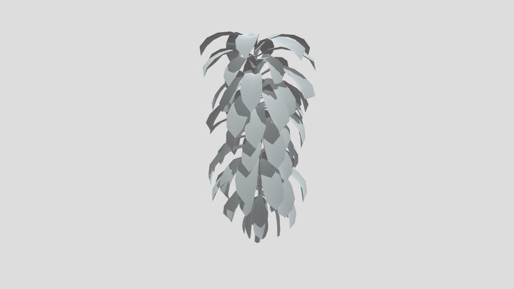 Dracaena Corn Plant Large