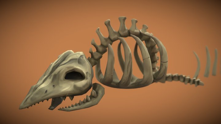 Stylized Whale Skeleton 3D Model