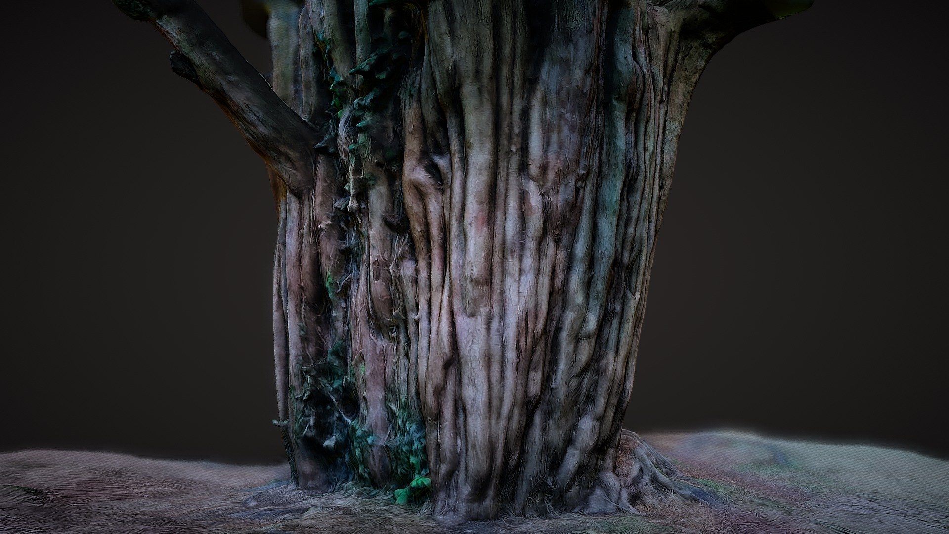 Tree Stump photogrammetry