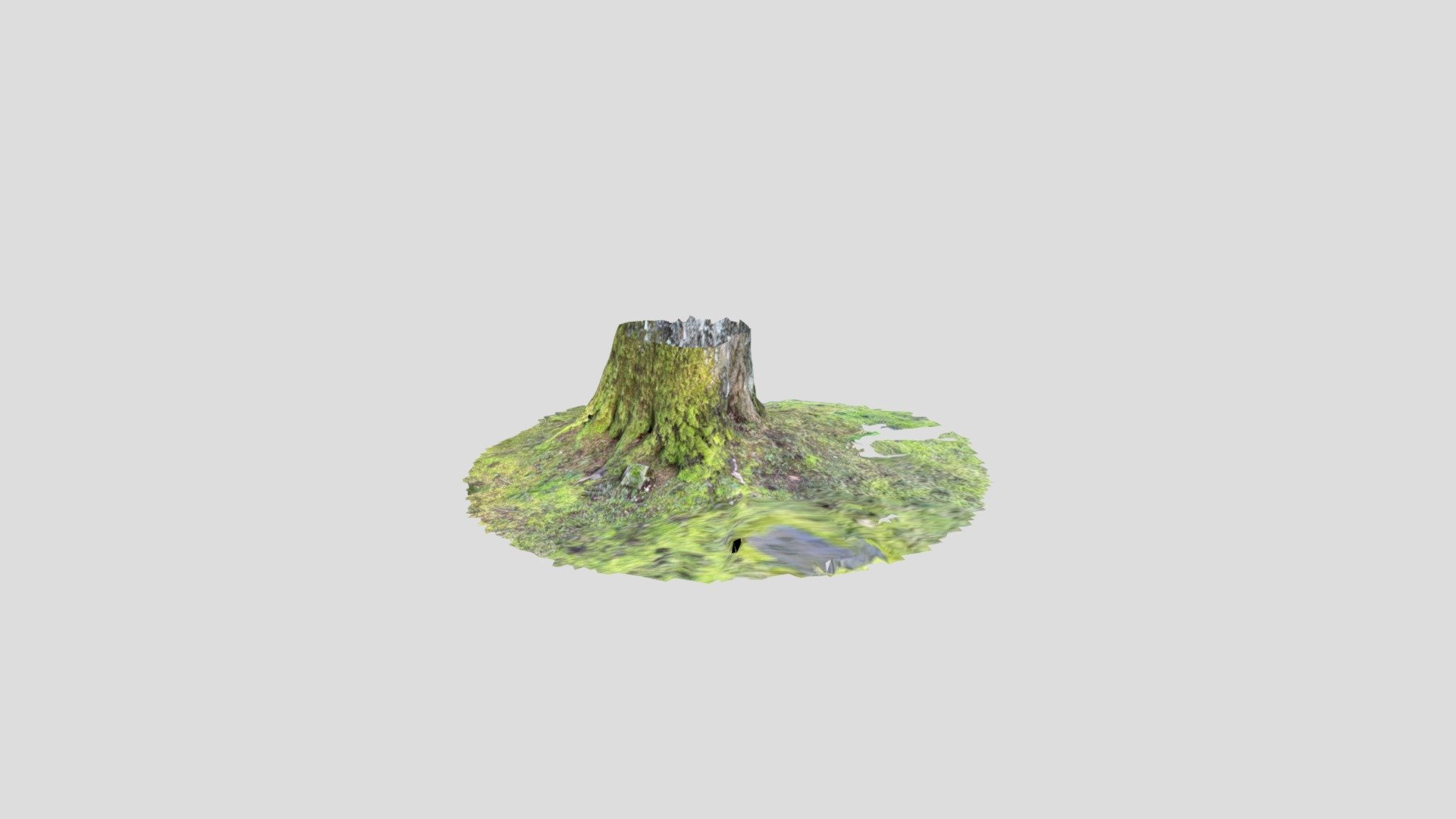New Model