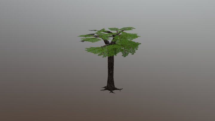 Sequoia Tree 3D Model