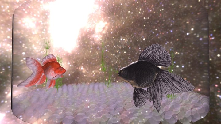 Goldfish Scene 1:  Aka to Kuro 3D Model