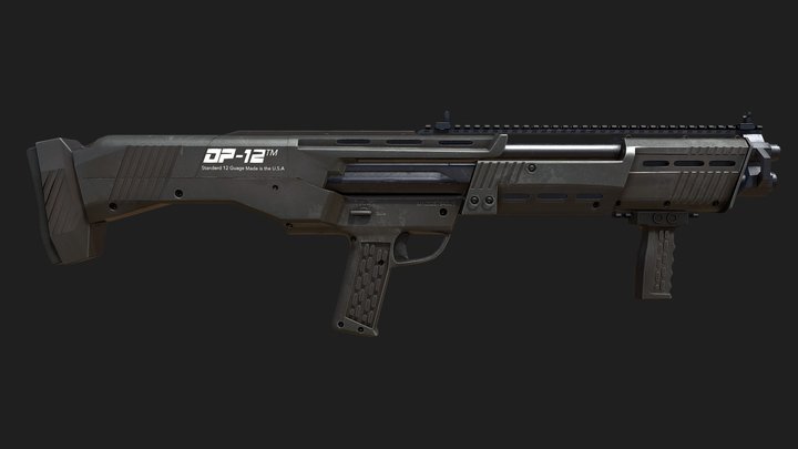 DP-12 3D Model