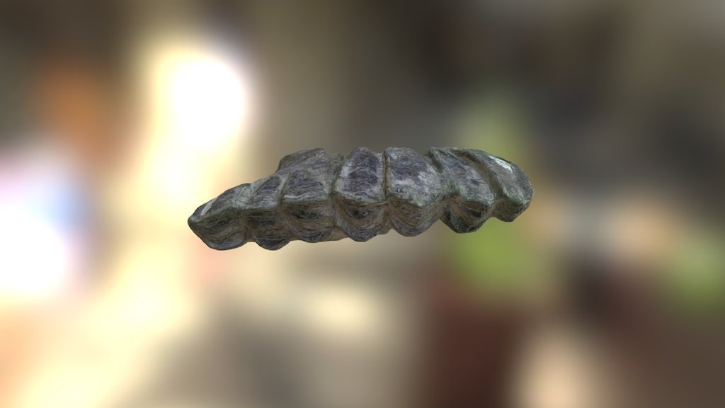 Molares Camello Final — Sketchfab embed 3D viewer