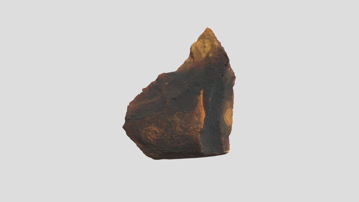 Eclat encoché 3D Model