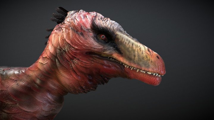 Dakotaraptor (Fluffy)