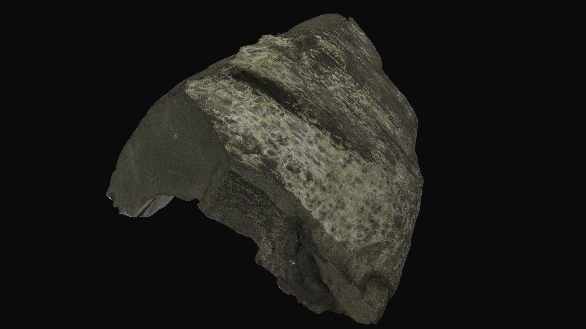 Flexural slip fold, Austria - Download Free 3D model by Sara Carena ...