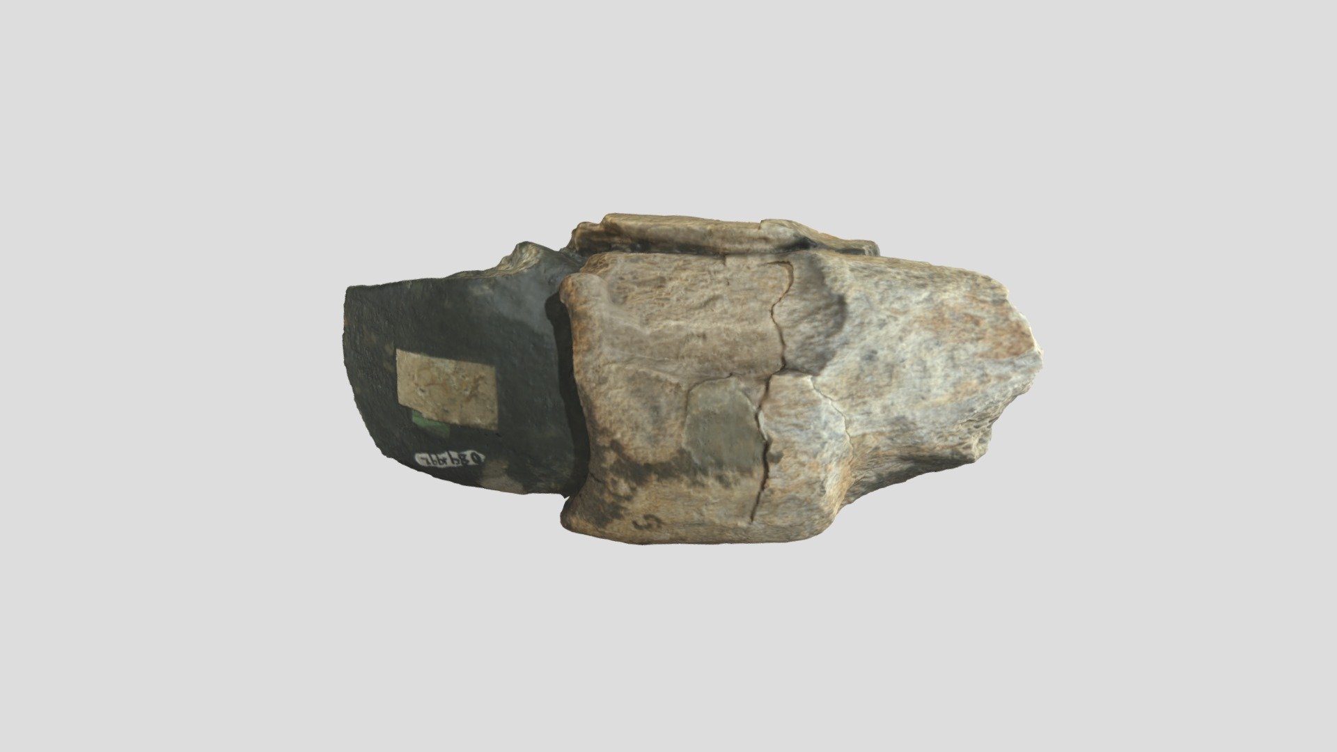 Prehistoric Hafted Axe Head