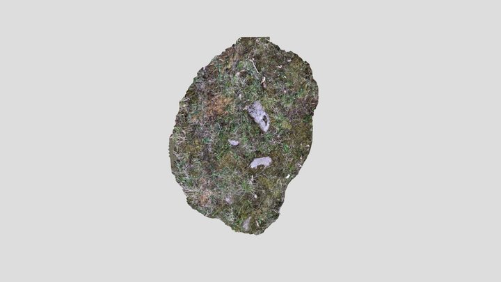 ground 3D Model