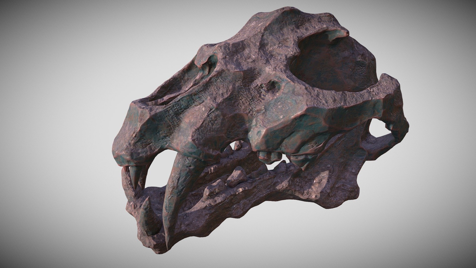 Animal Skull - 3d Model By James12xu [d77559e] - Sketchfab