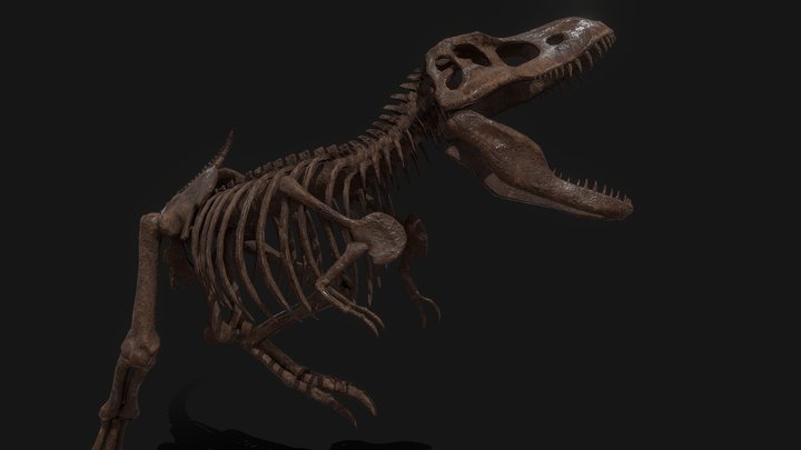 PBR T-Rex Skeleton 3D Model