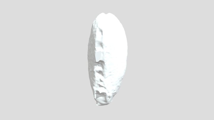 ZHB13 3D Model