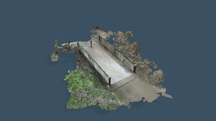 Wash Lands Footbridge 3D Model