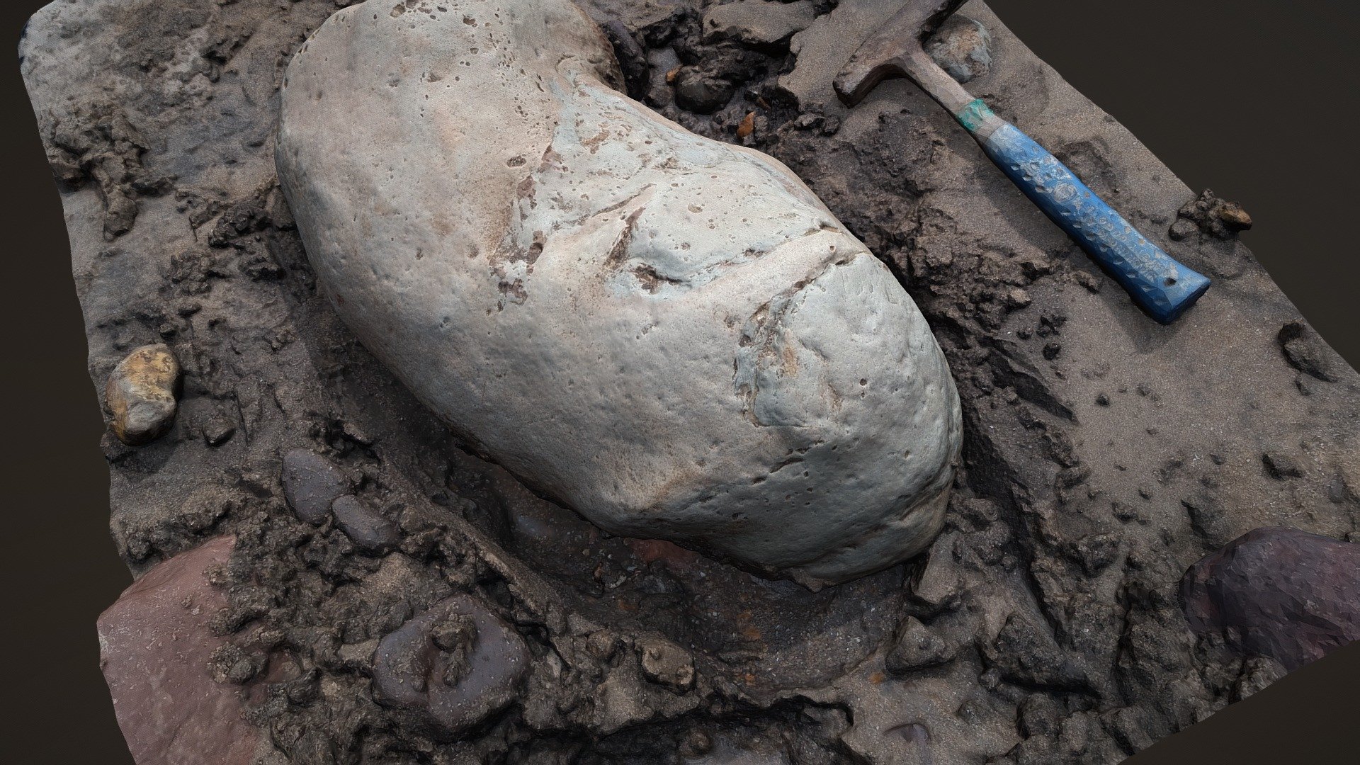 theropod footprint