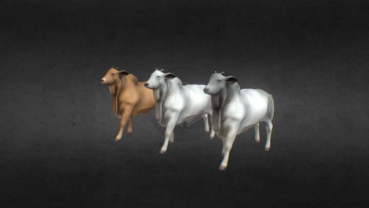 Brahman Cow 3D Model