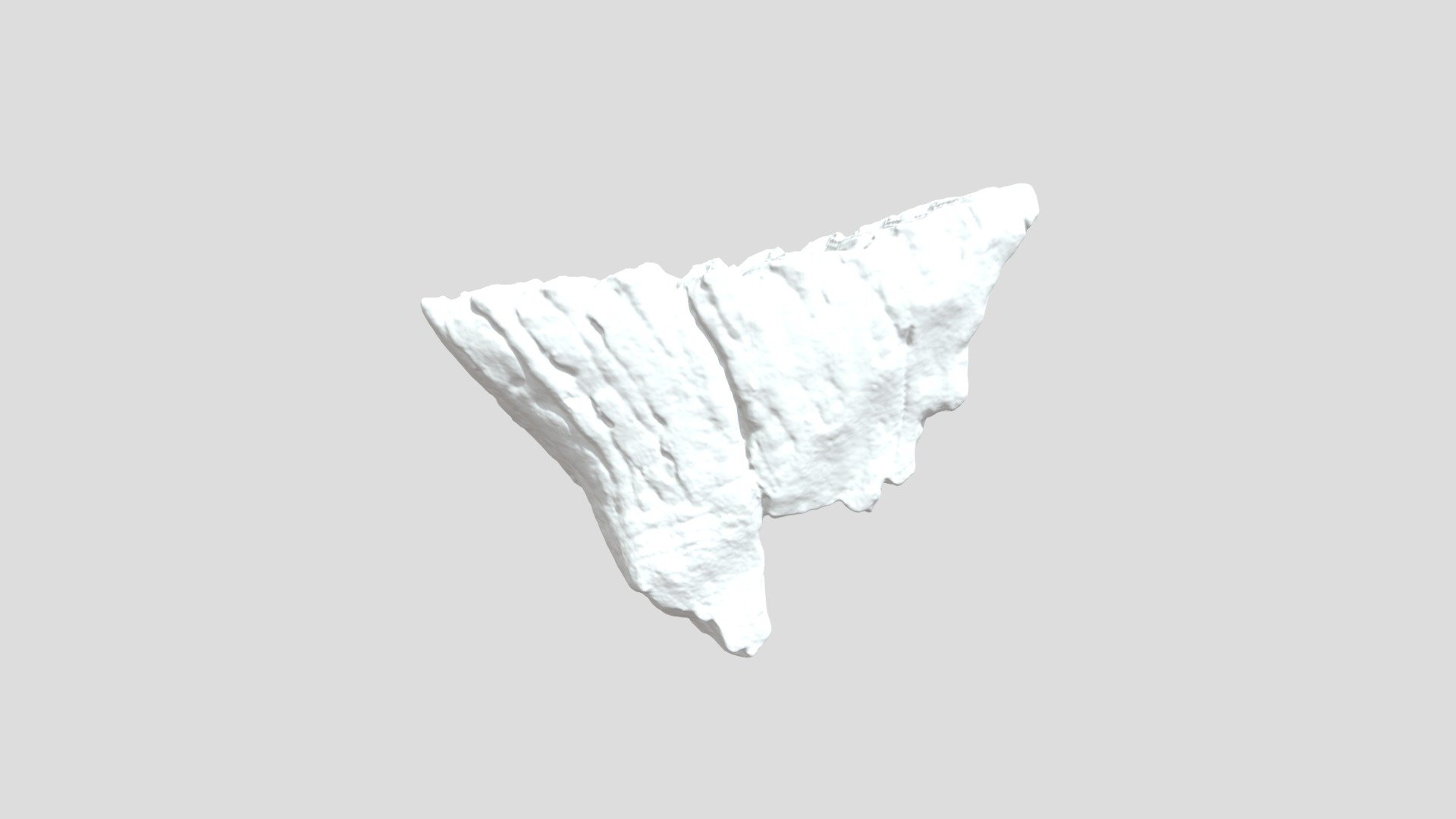 Mammuthus columbi -tooth