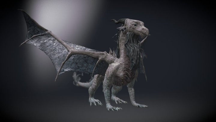Bearded Dragon 3D Model