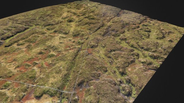 Restored vs degraded blanket bog 3D Model