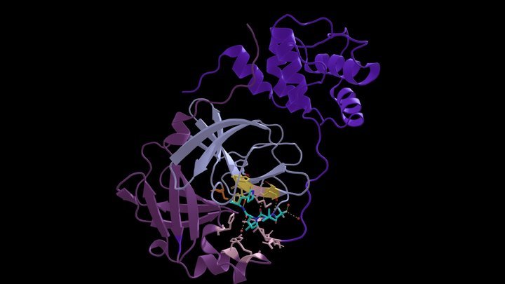 Final SARS-CoV-2 Main Protease and PF-07321332 3D Model