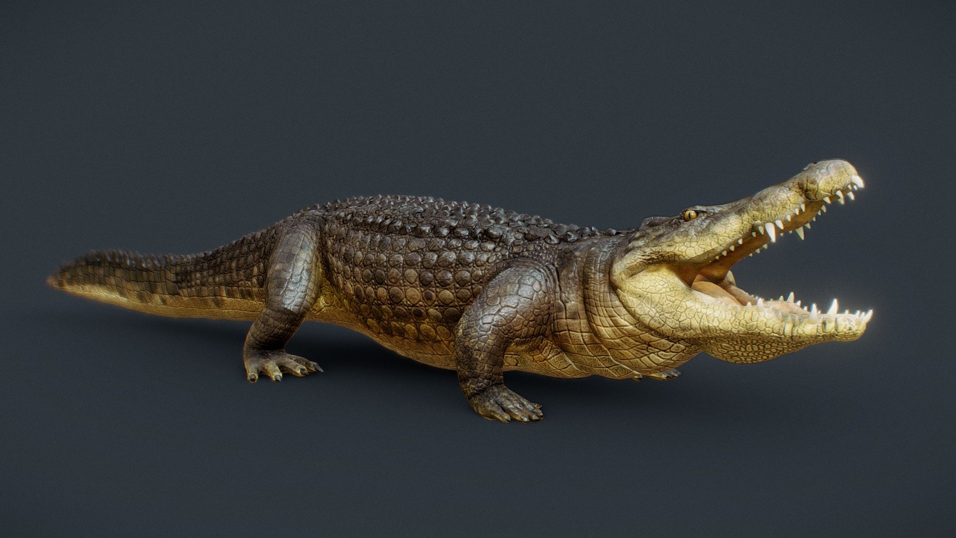 African Crocodile 3d Model By Aidinsalsabili Aidinsalsabili D7881fe