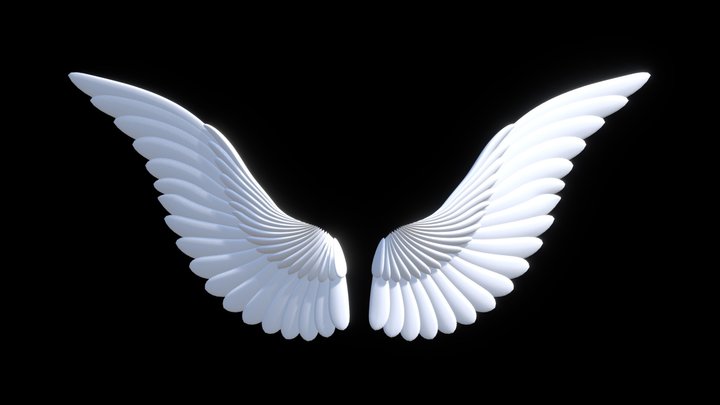 Angel Wing 3D Model