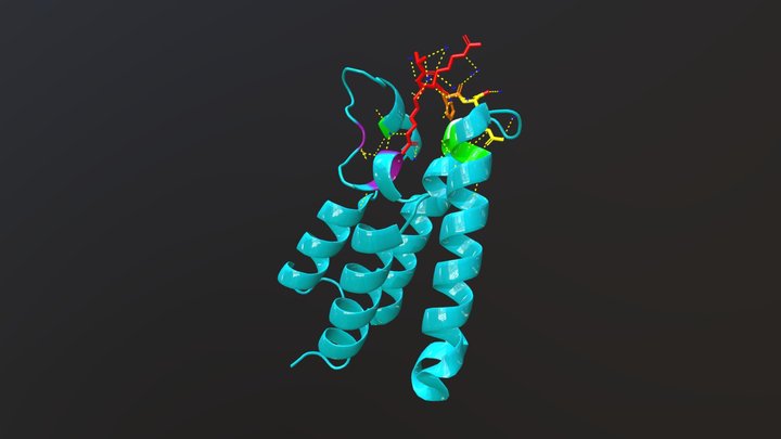 GCN5 Bromodomain + H4K16ac peptide 3D Model