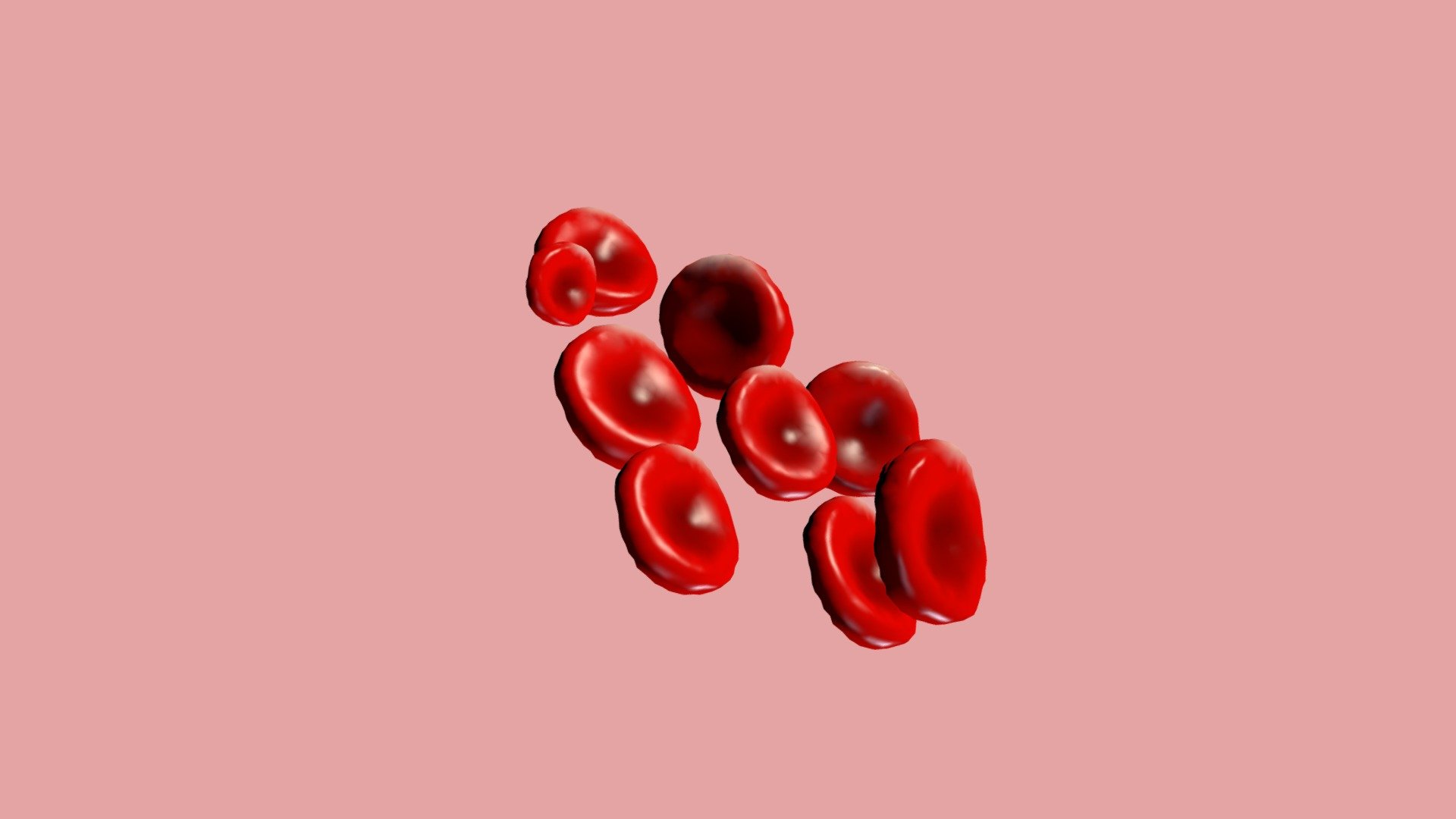 Globulos rojos-Eritrocito