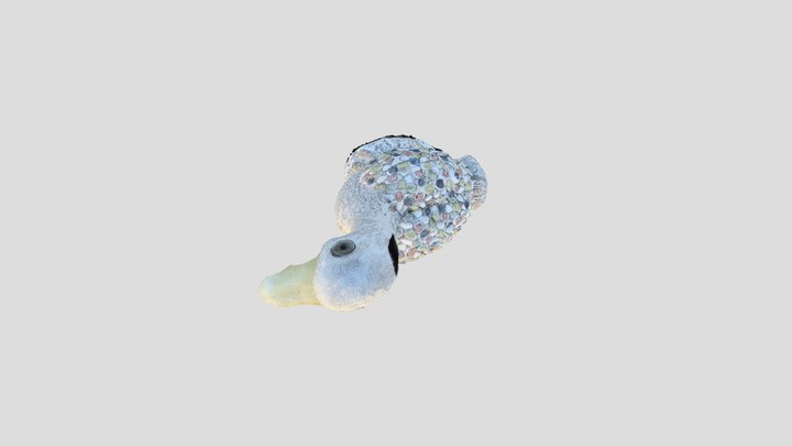 My stunning 3D asset 3D Model