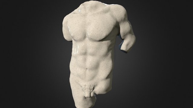 Human Torso 3D Model