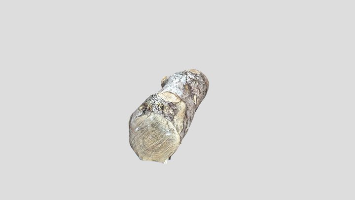 WoodLog_LOD0 3D Model