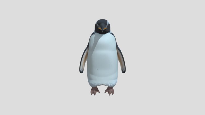 Adorable 3D Penguin Cute and Realistic Character