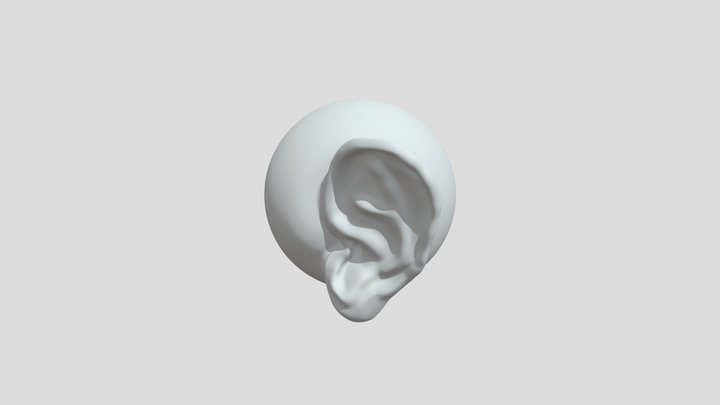 Ear 3D Model