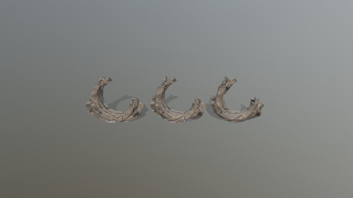 Rock Model 3D Model