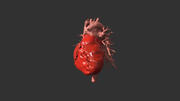 HjärtaKombineratIhopOstädad 3D Model