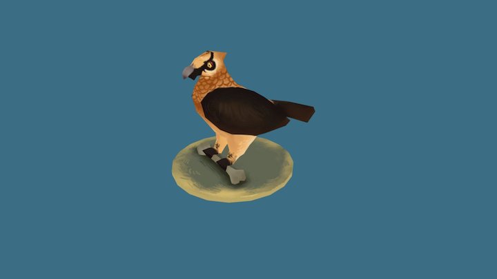 Bearded Vulture 3D Model