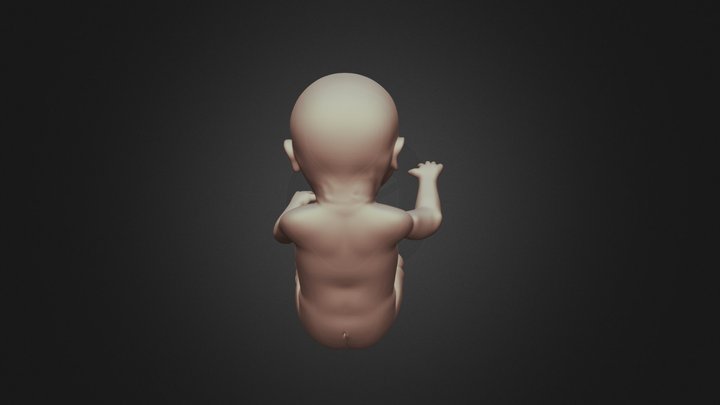 9 MESES 3D Model