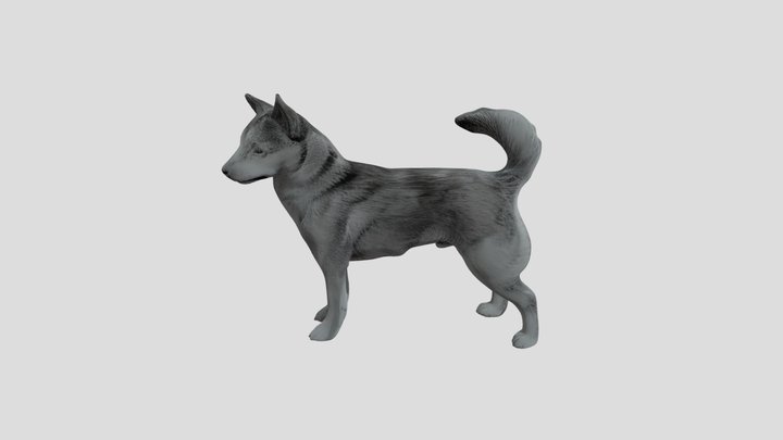 “Mudhol Hound  unity game ready!!!!!!!!!!!!!!!! 3D Model