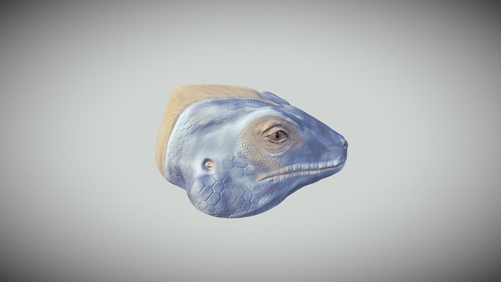 Iguana Sculpt Timed Assignment 3D Model