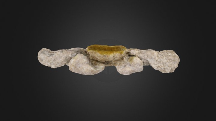 Crustacean: Ocytode quadrata (PRI 43014) – Gratis 3D-model STL