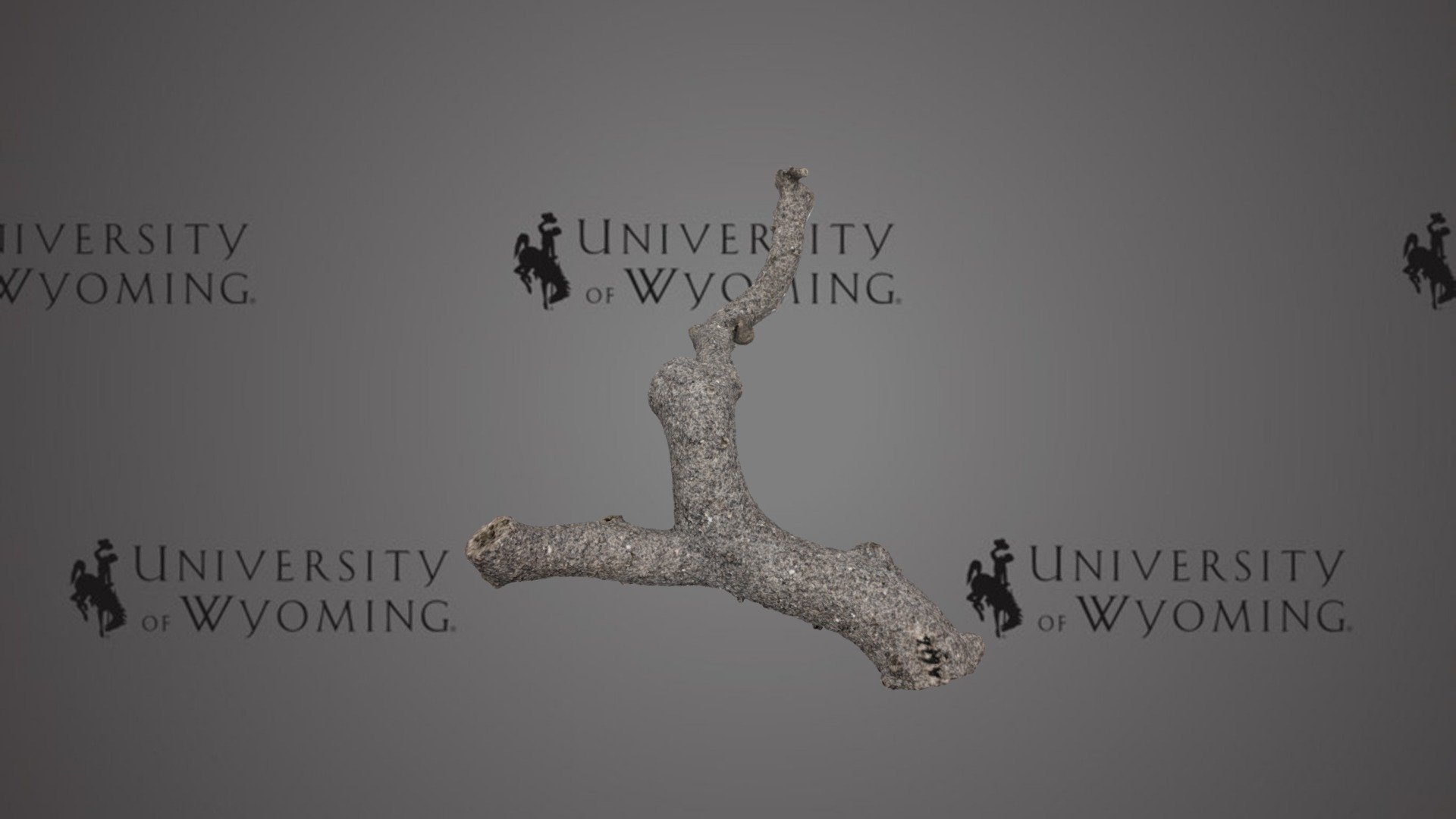 Pseudofossil - Fulgurite