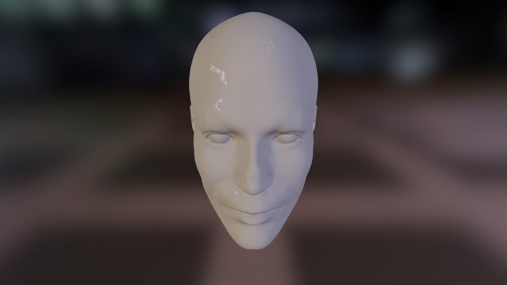 Head 3D Model