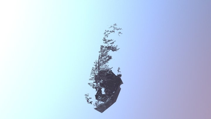 Lidar Dirty Snow 3D Model