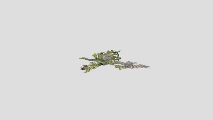 Untitled Scan 3D Model