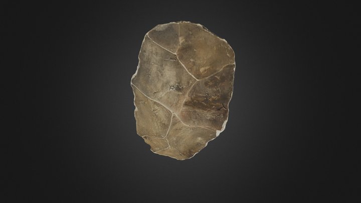 Flake (84.1165B) 3D Model