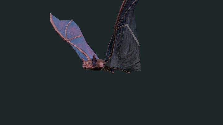 Bat enemy 3D Model
