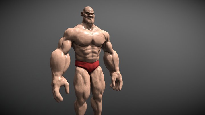 Anatomy model 3D Model