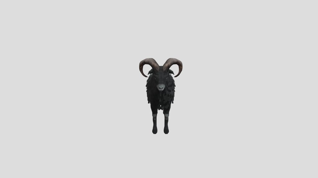 Ovis Animated