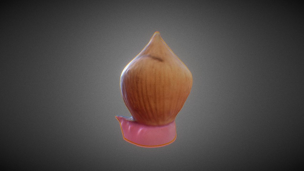 Model Trial - Coconut Shaped Coin collector
